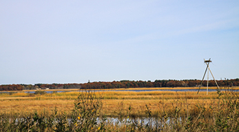 Osamequin Nature Trails and Bird Sanctuary